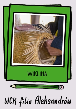 Wiklina - WCK Aleksandrów