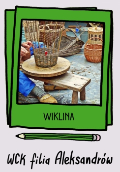 Wiklina - WCK Aleksandrów