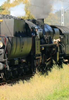 Filia Anin podczas imprezy "Kolej na Wawer. Kultura i Natura" - zdjęcia