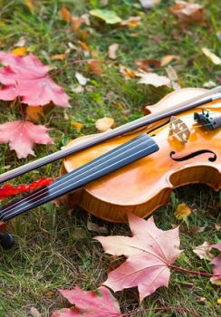 SKRZYPCE - indywidualna nauka gry / Międzylesie