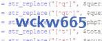 verification code